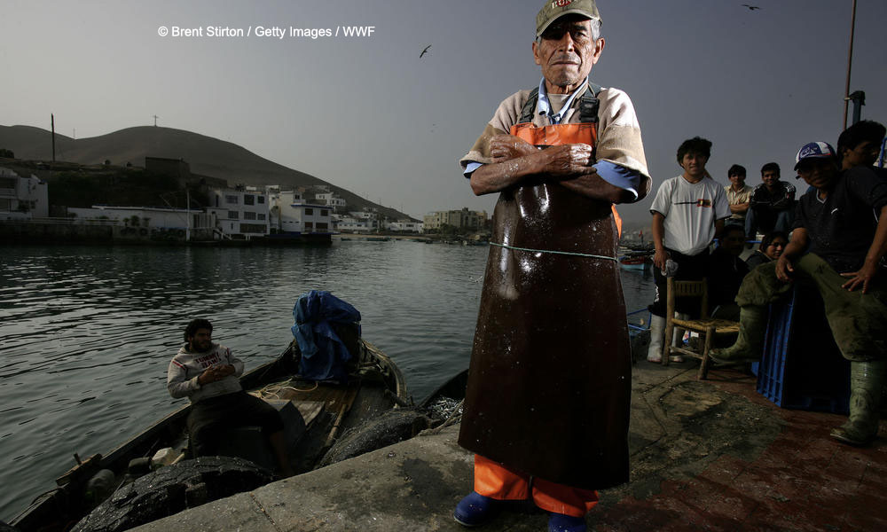 Photograph of a mahi mahi fisherman