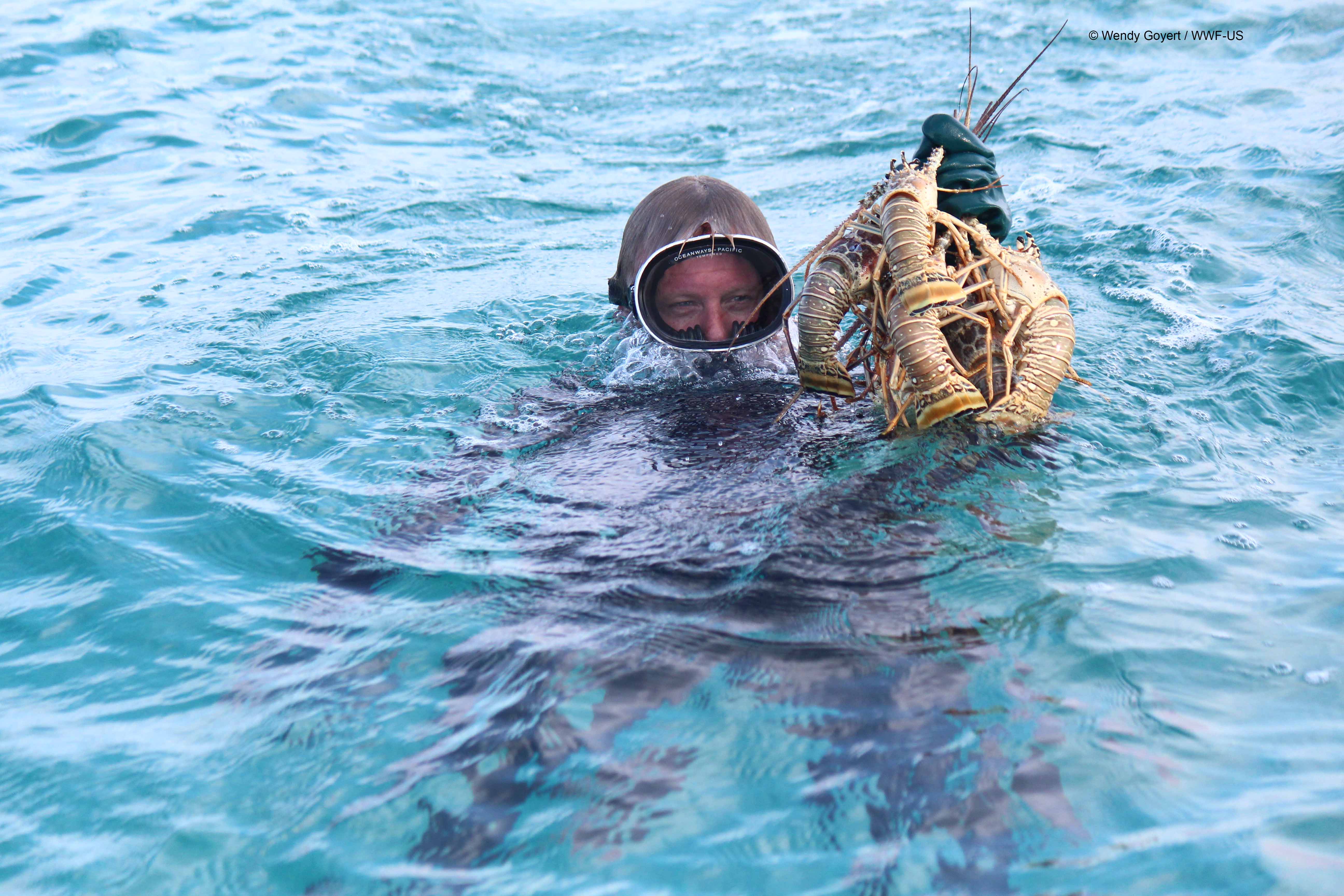 Welcome to the BFFIA - Bahamas Fly Fishing Industry AssociationBahamas Fly  Fishing Industry Association