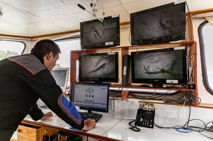 Monitoring salmon pens, Los Fiordos