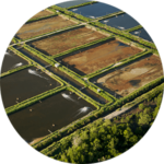 Aerial view of shrimp ponds carved out of mangrove forest in the Sarawak Mangrove Reserve area, Sarawak, Borneo, Malaysia