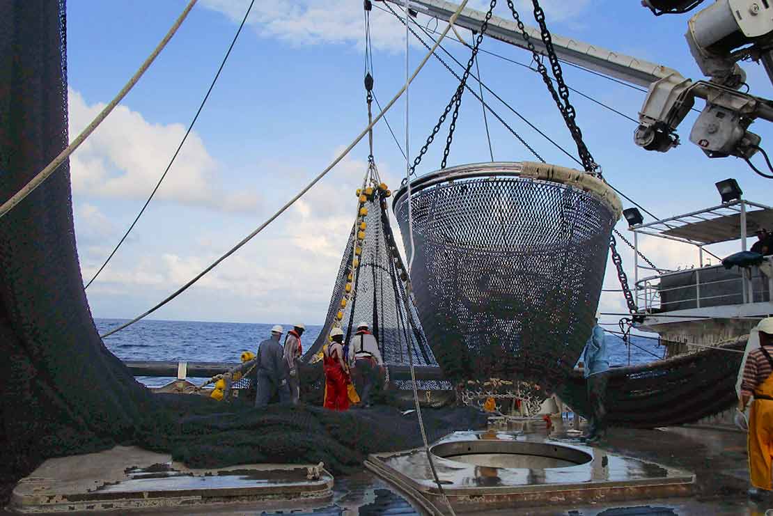 Indian Ocean Tuna – OPAGAC - WWF Seafood Sustainability
