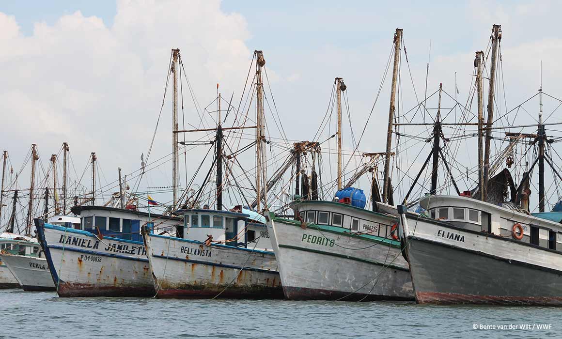 On Path to Sustainability, Kroger Renews Seafood Sustainability ...