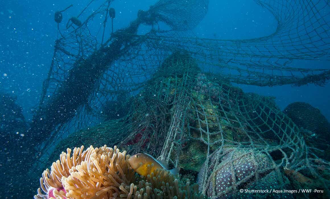 Zombie in the Water': New Greenpeace Report Warns of Deadly Ghost Fishing  Gear - EcoWatch